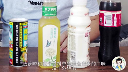 混搭奇趣 廣氏菠蘿啤與即飲飲料的味覺巔峰之旅